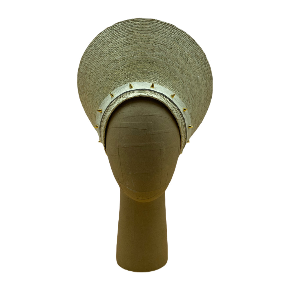 Palm visor